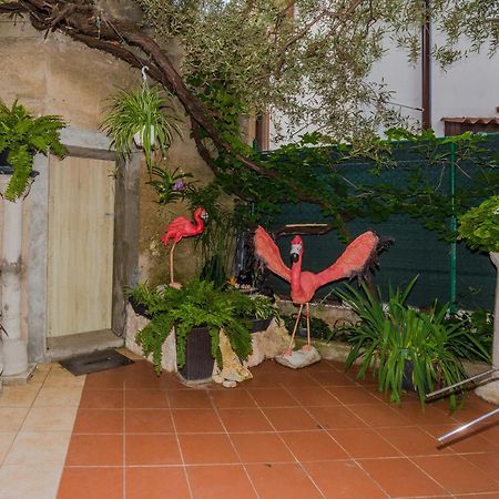 Naomi Apartment Zadar Exterior foto